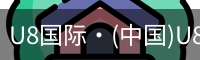 U8国际·(中国)U8国际官方网站 | U Eight Int